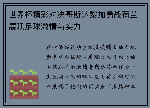 世界杯精彩对决哥斯达黎加勇战荷兰展现足球激情与实力