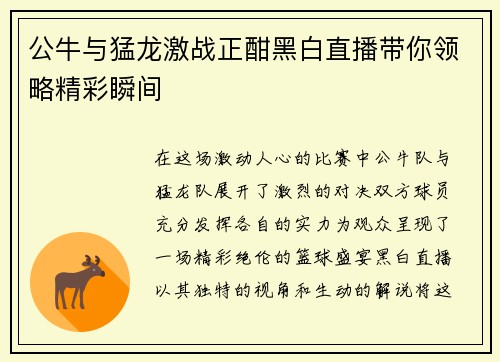 公牛与猛龙激战正酣黑白直播带你领略精彩瞬间