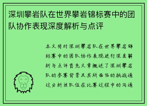 深圳攀岩队在世界攀岩锦标赛中的团队协作表现深度解析与点评