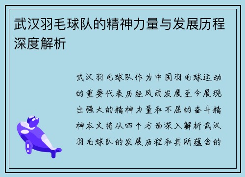 武汉羽毛球队的精神力量与发展历程深度解析
