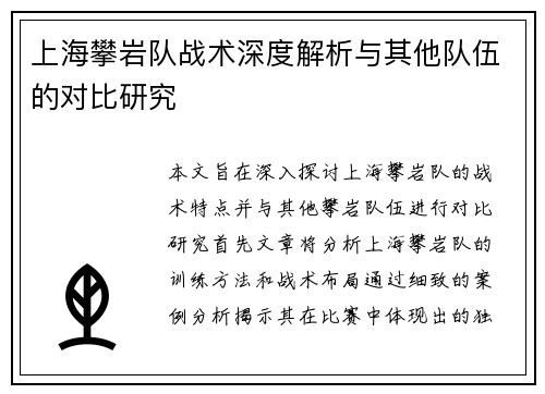 上海攀岩队战术深度解析与其他队伍的对比研究