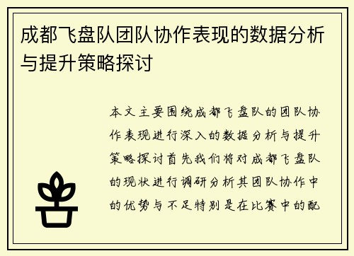 成都飞盘队团队协作表现的数据分析与提升策略探讨